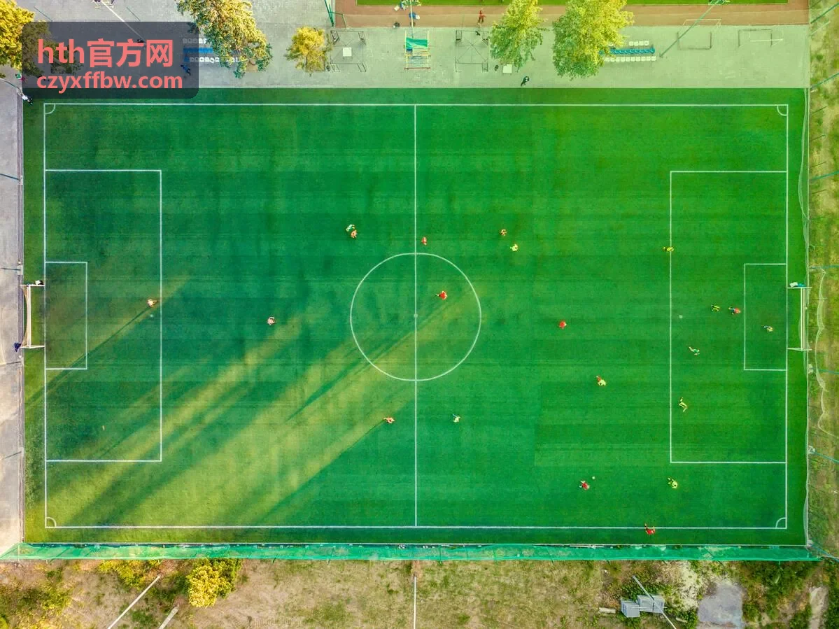 hth官方网资料变更与绑定维护界面示意