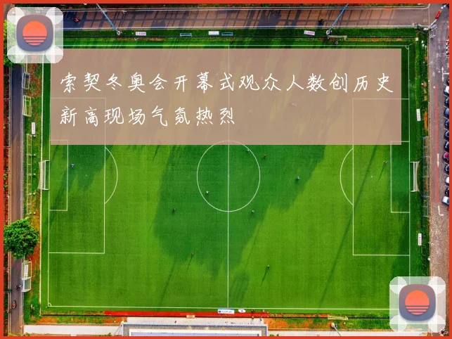 索契冬奥会开幕式观众人数创历史新高现场气氛热烈