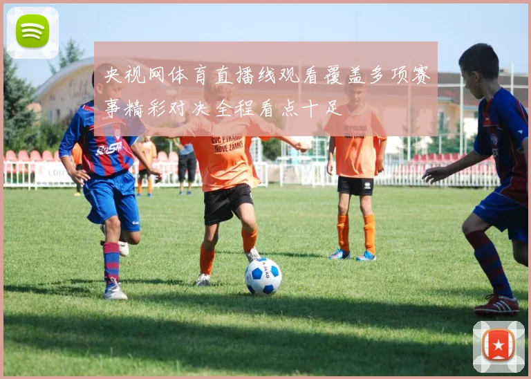 央视网体育直播线观看覆盖多项赛事精彩对决全程看点十足