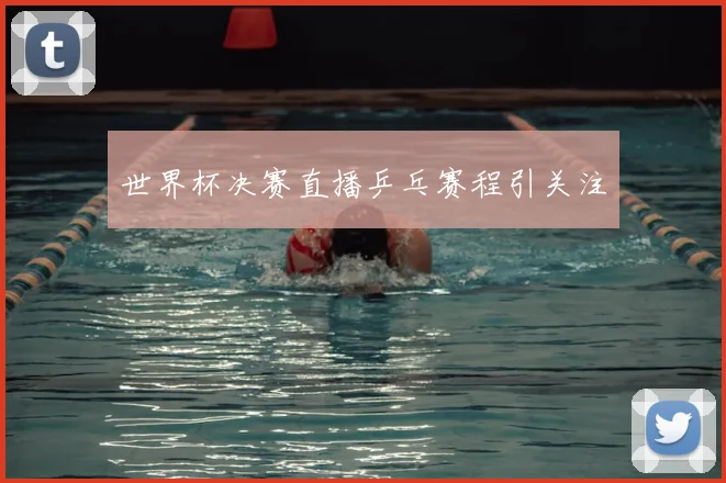 世界杯决赛直播乒乓赛程引关注