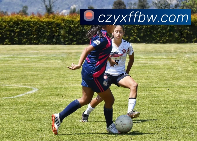 世界杯开户平台发展历程